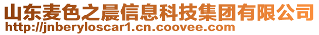 山東麥色之晨信息科技集團(tuán)有限公司