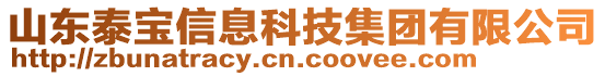 山東泰寶信息科技集團有限公司