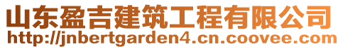 山東盈吉建筑工程有限公司