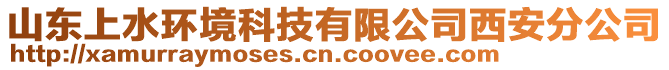 山東上水環境科技有限公司西安分公司