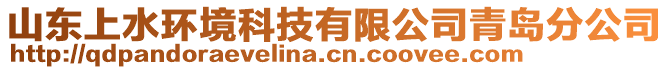 山東上水環(huán)境科技有限公司青島分公司