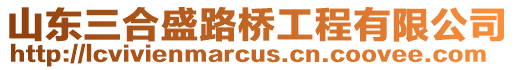 山東三合盛路橋工程有限公司