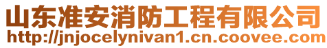 山東準安消防工程有限公司