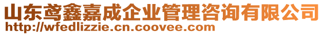 山東鳶鑫嘉成企業(yè)管理咨詢有限公司