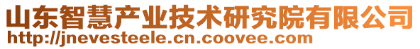 山東智慧產(chǎn)業(yè)技術(shù)研究院有限公司