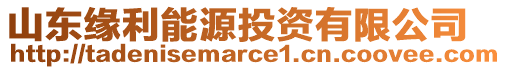 山東緣利能源投資有限公司