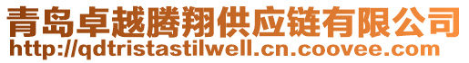 青島卓越騰翔供應(yīng)鏈有限公司