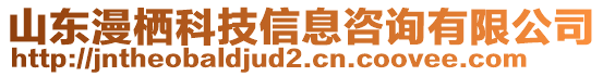 山東漫棲科技信息咨詢有限公司