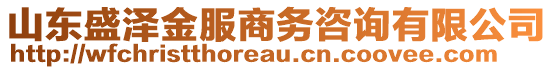 山東盛澤金服商務咨詢有限公司