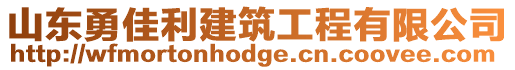 山東勇佳利建筑工程有限公司