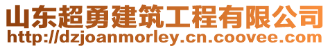 山東超勇建筑工程有限公司