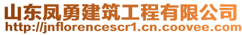 山東鳳勇建筑工程有限公司