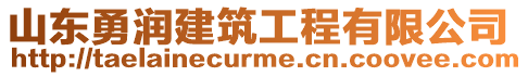 山東勇潤建筑工程有限公司