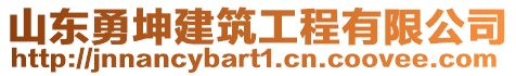 山東勇坤建筑工程有限公司