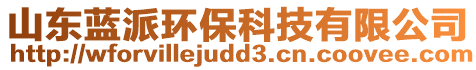 山東藍(lán)派環(huán)保科技有限公司