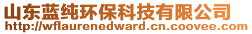 山東藍(lán)純環(huán)保科技有限公司