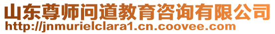 山東尊師問(wèn)道教育咨詢有限公司