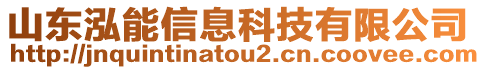 山東泓能信息科技有限公司