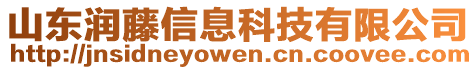 山東潤藤信息科技有限公司