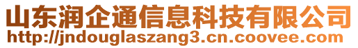 山東潤企通信息科技有限公司