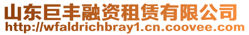 山東巨豐融資租賃有限公司