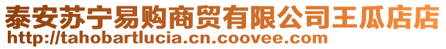 泰安蘇寧易購(gòu)商貿(mào)有限公司王瓜店店