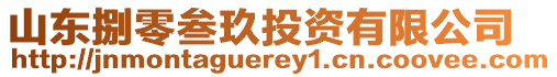 山東捌零叁玖投資有限公司