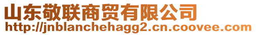 山東敬聯(lián)商貿(mào)有限公司