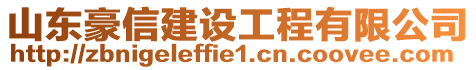 山東豪信建設(shè)工程有限公司