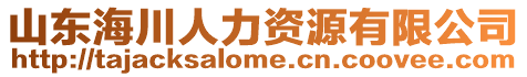 山東海川人力資源有限公司