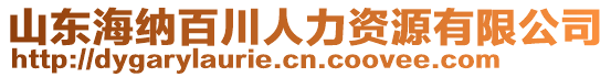 山東海納百川人力資源有限公司