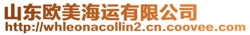 山東歐美海運(yùn)有限公司