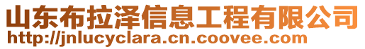 山東布拉澤信息工程有限公司