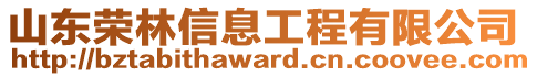 山東榮林信息工程有限公司