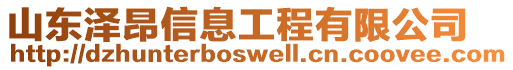 山東澤昂信息工程有限公司