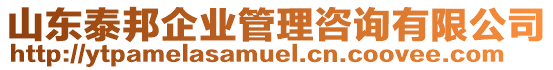 山東泰邦企業(yè)管理咨詢有限公司