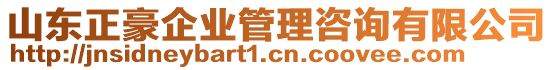 山東正豪企業(yè)管理咨詢有限公司