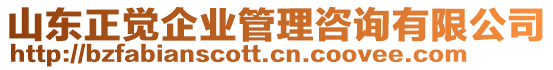 山東正覺企業(yè)管理咨詢有限公司