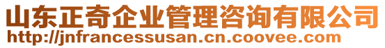 山東正奇企業(yè)管理咨詢有限公司