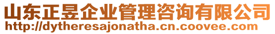 山東正昱企業(yè)管理咨詢有限公司