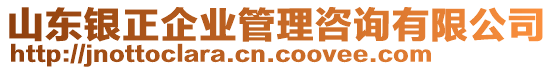 山東銀正企業(yè)管理咨詢有限公司