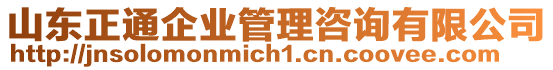 山東正通企業(yè)管理咨詢有限公司