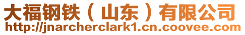 大福鋼鐵(山東)有限公司