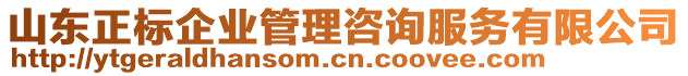 山東正標(biāo)企業(yè)管理咨詢服務(wù)有限公司