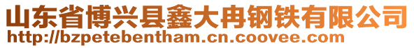 山東省博興縣鑫大冉鋼鐵有限公司