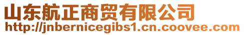 山東航正商貿(mào)有限公司