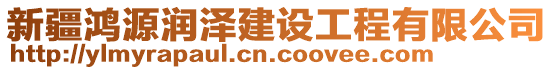 新疆鴻源潤澤建設(shè)工程有限公司