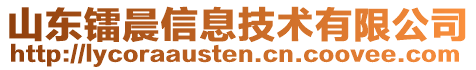 山東鐳晨信息技術(shù)有限公司