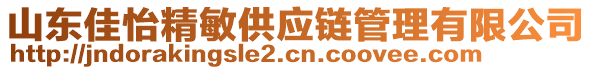 山東佳怡精敏供應(yīng)鏈管理有限公司