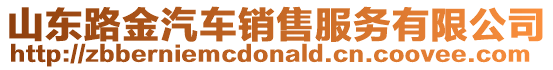 山東路金汽車銷售服務有限公司